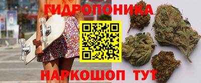 дмт Краснознаменск