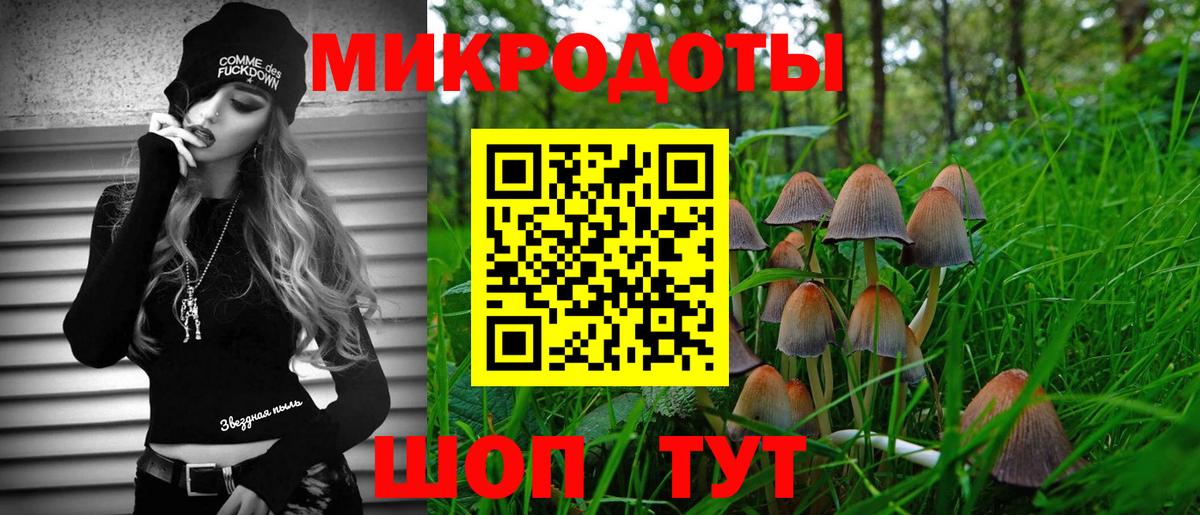 Фрязино  Псилоцибиновые грибы Psilocybine cubensis  Псилоцибиновые грибы Cubensis  Вход с VPN 